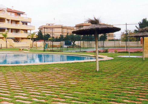 areca, jardinería y paisajismo