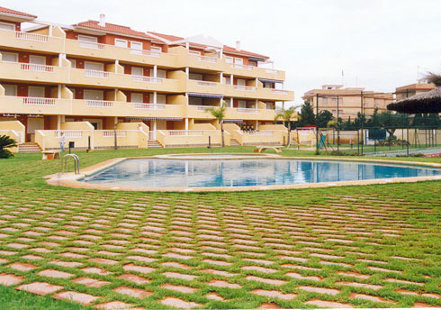 areca, jardinería y paisajismo