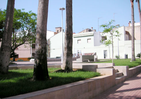 areca, jardinería y paisajismo