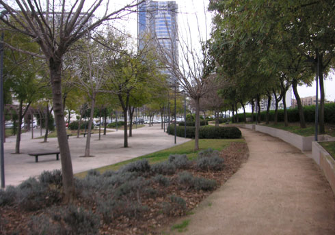 areca, jardinería y paisajismo