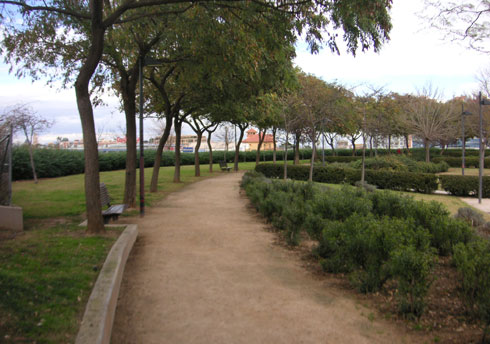 areca, jardinería y paisajismo