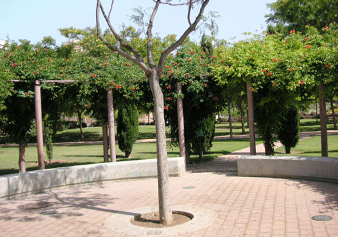 areca, jardinería y paisajismo