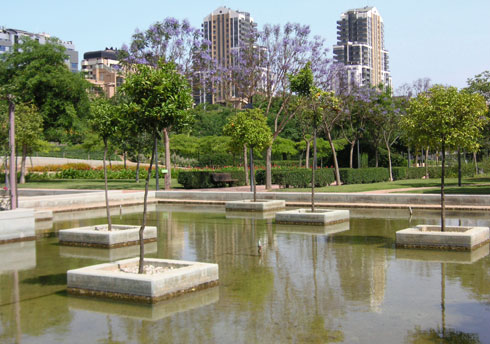 areca, jardinería y paisajismo