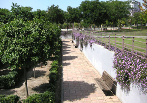 areca, jardinería y paisajismo