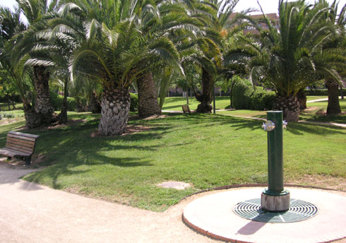 areca, jardinería y paisajismo