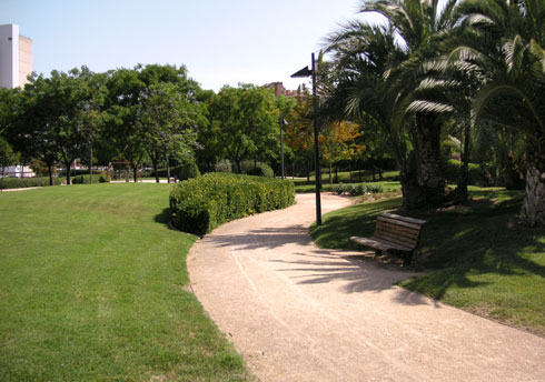 areca, jardinería y paisajismo