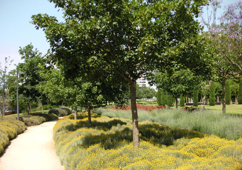 areca, jardinería y paisajismo